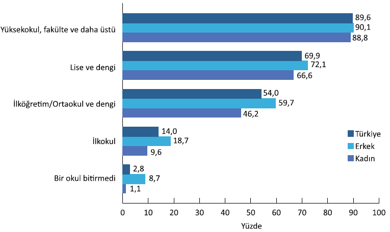 Şekil 7: Yaş Grupları İtibariyle İnternet Kullanımı, 2010. Kaynak: DPT, Bilgi Toplumu İstatistikleri 2011, DPT Yayın No: 2826, s.19.