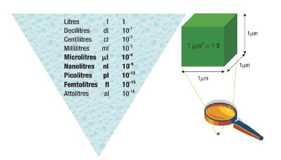 Cihazların boyutları milimetre ile mikrometre arasında değişmekte olup en az bir boyut mikrometre cinsinden (ör. Cihazın kanalları) ölçülmektedir (bkz. Şekil 3). Şekil-2. Ölçüler Şekil-1.