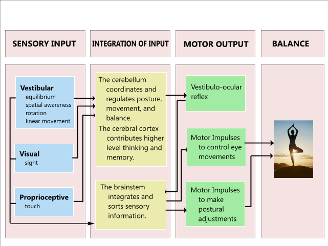 In any type of perturbation, sensory information must be integrated from a variety of sources including somotosensory, visual and vestibular pathways to make appropriate balance corrections.