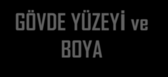 GÖVDE