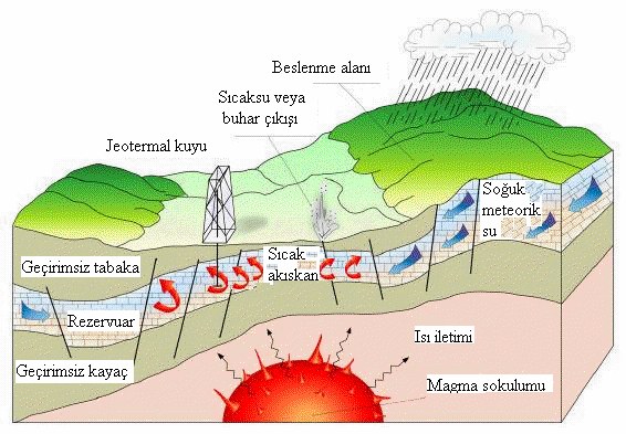 Jeotermal akışkan ise çoğu durumda meteorik sudur ve rezervuarda sıcaklık ve basınca bağlı olarak buhar veya sıvı haldedir.