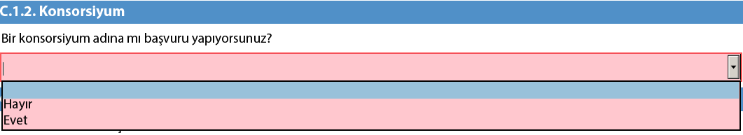 Başvuru formunda Bir konsorsiyum adına mı başvuru yapıyorsunuz sorusuna Evet cevabı verdiğimizde konsorsiyum üyeleri için iki adet tablo açılacaktır.