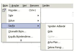 Şekil 25.Sayfa biçim ayarlarının yapılması Şekil 25'deki pencerede; Yeniden adlandır: Etkin sayfayı yeniden adlandırır. Gizle: Etkin sayfayı gizler.