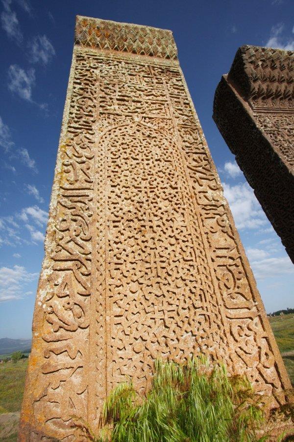 g) Selçuklu tarihi ve devrini içeren döneme ait bütün ana kaynak-yazma ve basma-kütüphane ve müzelik malzemeleri toplatıp bir arşiv kurmak ve gelişen teknoloji ile bunları elektronik ortama aktararak