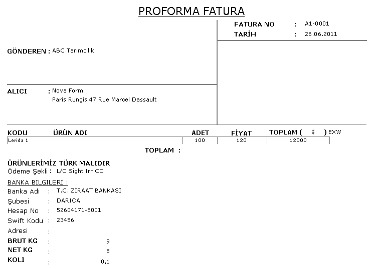 Proforma Faturası Proforma Fatura