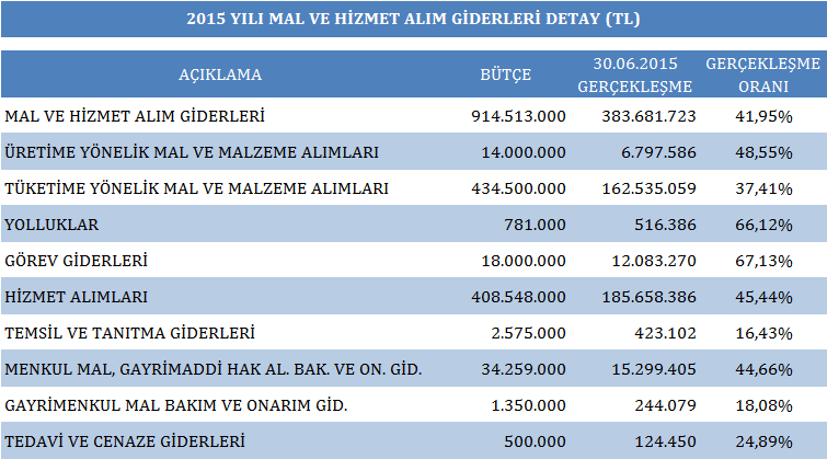 03. MAL VE HİZMET ALIM GİDERLERİ Üretime yönelik Mal ve Malzeme alımları Elektronik kart alımlarından oluşmaktadır.