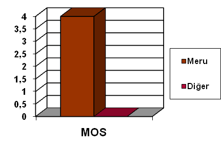 4 3,5 3 2,5 2,5 0,5 0 MOS Meru Diğer 2 ses, 0 data 20-25 5X 00+ Diğer