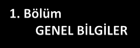 Bu bölüm 1-2 sayfa olmalı ve okuyan kişiye genel bilgiler vermelidir. Okuyanları diğer detaylara özendirici şekilde yazılmalı.