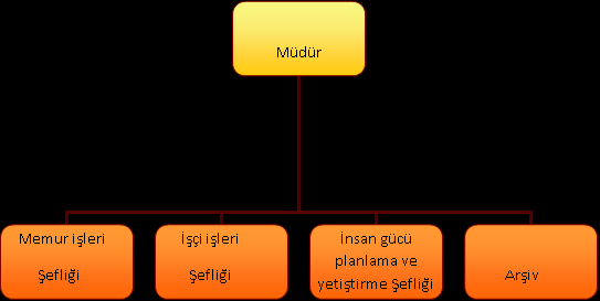 Dosya dolapları 14 Çalışma masaları 7 Çalışma koltukları 10 Misafir koltukları 8 Klasik tip sandalyeler 2 Sehpalar 2 Etajerler 2 Basküller 2 Genel amaçlı tıbbi cihazlar ve aletler 2 Sabit ayaklı