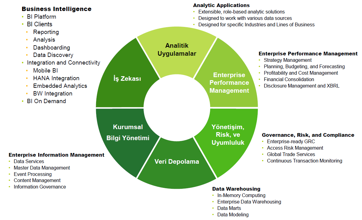 SAP BusinessObjects 2014 SAP AG or an SAP