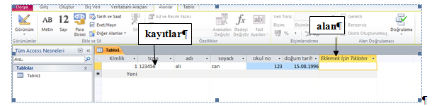 Bir kayıt Bir alan Bir alan değeri Tablo nesnesi alan lardan meydana gelir. Herhangi bir konuda planlı ve mantıksal olarak tasarlanan birden fazla alan, tek tabloda bir araya gelir.