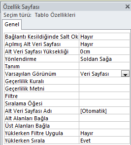 Tasarım sekmesinin Göster/Gizle grubunda tıklayınız. Özellik Sayfası'nı Resim 2.