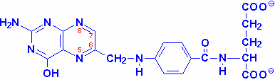 Folik Asit Folik asit, para-aminobenzoik asit (PABA)'e bir pteridin