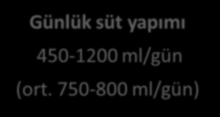 LAKTASYONDA ENERJİ EKİ NE OLMALIDIR?