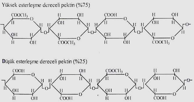 Pektinde galakturonik asit üniteleri birbirlerine düz zincir halinde bağlanmıştır. Bu yapıda galakturonik asit moleküllerinin kısmı metanol ile esterleşmiş haldedir.