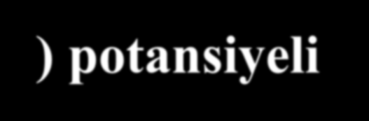 AKSİYON POTANSİYELİ Hücre zarlarında İstirahat (Dinlenim) potansiyeli Aksiyon potansiyeli olmak üzere iki tip potansiyelden söz edilmektedir.