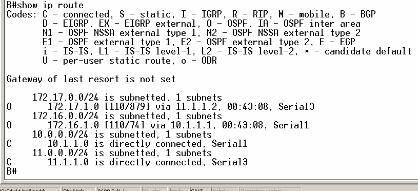 (B Router ının Routing Table ı)