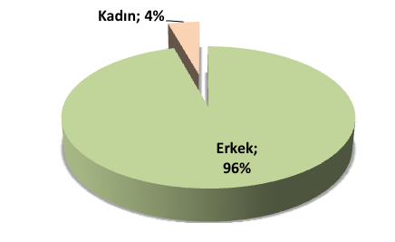 Expat demografik yapımız.