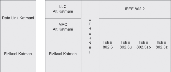 IEEE, OSI nin Data-Link katmanını MAC ve LLC olmak üzere iki alt katmana böler.