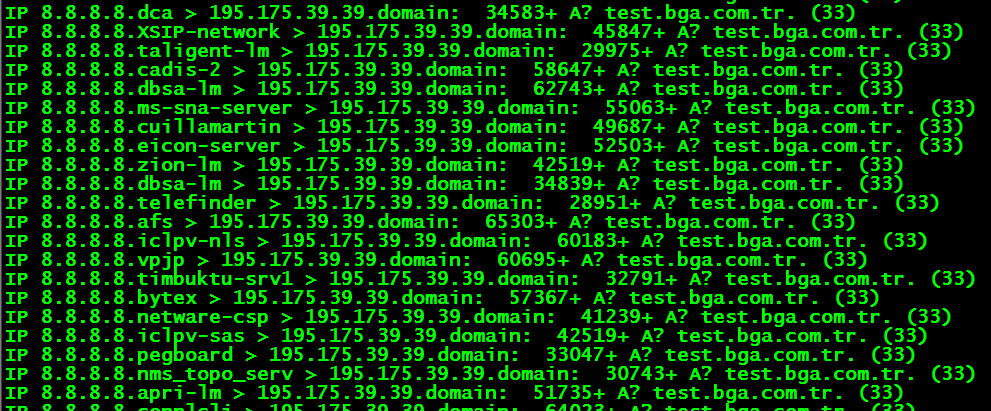 Uygulama DNS Amplification DOS 8.