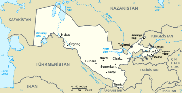 29 Aralık 1991 tarihinde düzenlenen referandumla bağımsızlık ilanı onaylanmıştır. Özbekistan bağımsızlığını kazandıktan sonra gelişmiş ülkelerle özellikle ekonomik anlamda ilişkiler kurmuştur.