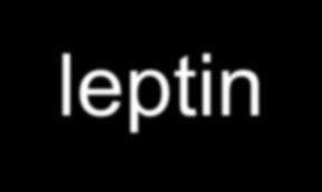 Possible action mechanism of leptin on RFRP-3 neurons LEP Ca 2+ LEPR Inositol Phospholipid