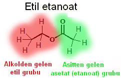 Esterler karboksilli asit türevleridir. Esterler bir karboksilli asit ve bir alkolün tepkimesinden oluşur.