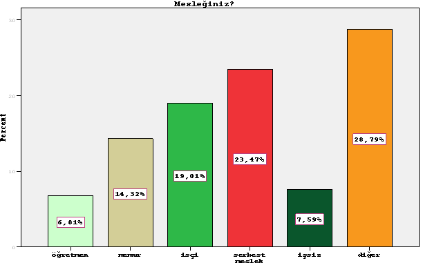 6. Mesleğiniz?