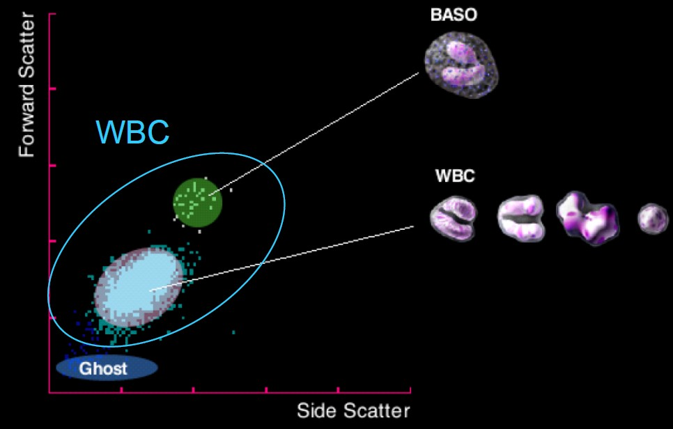 Tam kan sayımı: Optical light scatter and Fluorescence