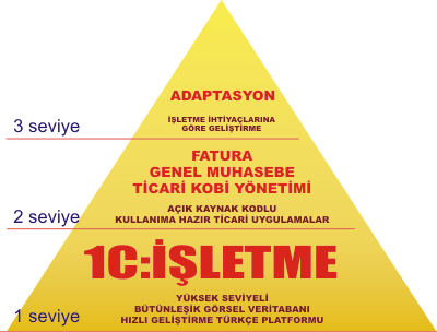 1C:İŞLETME SİSTEMİNİN YAPISI 1C.