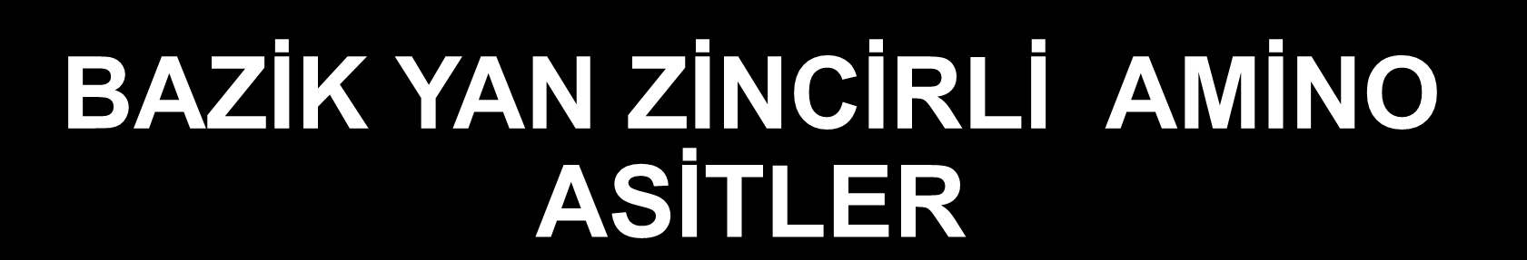 BAZİK YAN ZİNCİRLİ AMİNO ASİTLER Histidin, Arjinin ve Lizin Arg ve Lys, Histidin e göre, daha bazik Sahip oldukları 2.