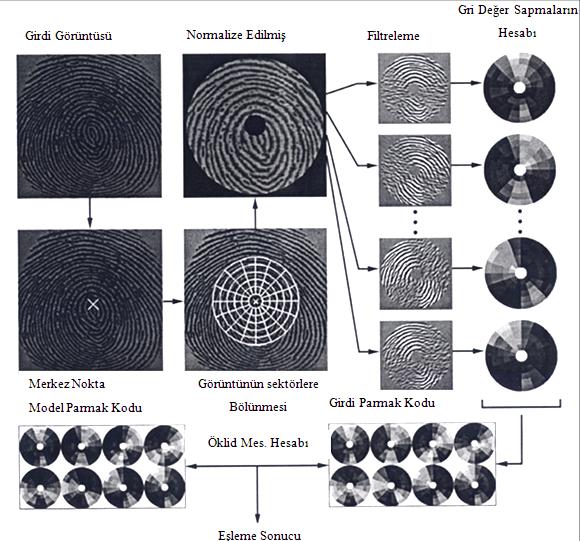 Teknolojik Araştırmalar: HTED 2011 (2) 1-24 Dijital Fotogrametri Teknikleri ile Kişi Tanıma 2.2.Parmak Ġzi EĢleme Yöntemleri ġekil 1.