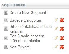 3. SEGMENTATION Belirli segmentlere bağlı kalmadan farklı segmentlerin de oluşturulmasını sağlar. a.