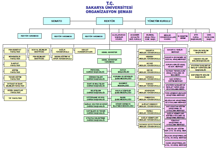 2.Organizasyon