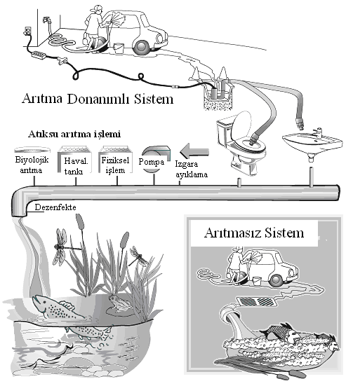 M ÇETİN vd.