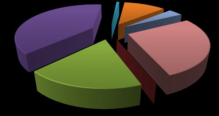 2. Temel Mali Tablolara İlişkin Açıklamalar Gelirler 39,21% 0,75% 11,29% 3,68% Merkezi Yönetim Bütçesinden Aktarılan Paylar 27,30% Büyükşehir Belediyelerinden Aktarılan Paylar İl Belediyelerinden