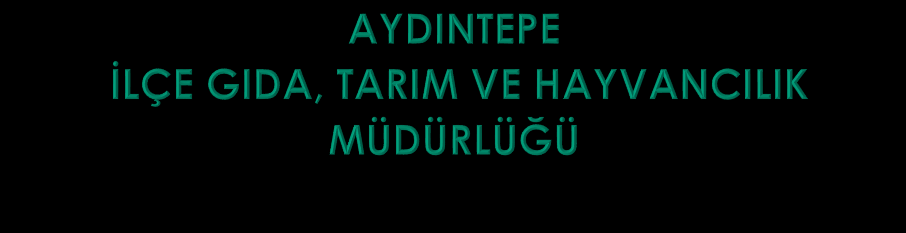 İLÇE HAKINDA GENEL BİLGİLER: Mevcut kaynaklara göre İlçenin yerleşim merkezi olarak kuruluşu Bayburt kadar eskidir.