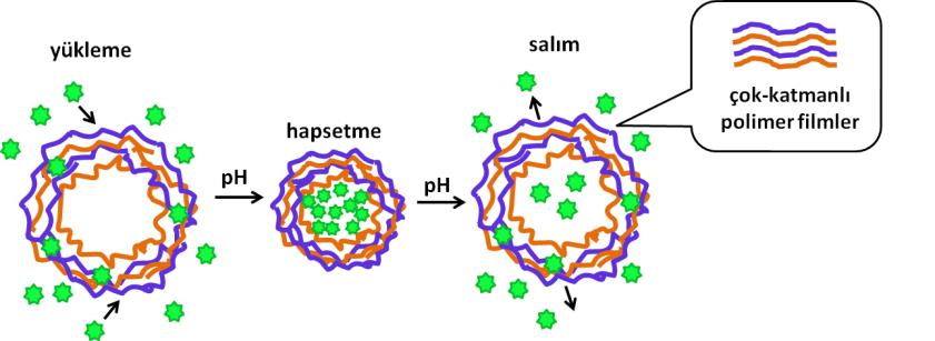 DOÇ. DR. ĠREM EREL Akıllı Polimer Filmler AraĢtırma Grubu ph http://www.longestlife.com/ebook/change.html ġekil 1.