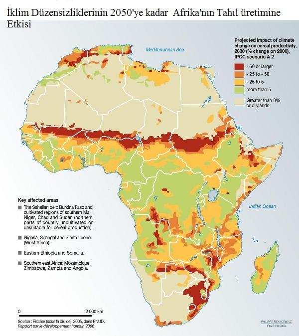 2010 yılı itibariyle dünyadaki açlık probleminin yüzde 40 ı Afrika da yaģanıyor, trendin bu Ģekilde sürmesi durumunda bu rakamın 2020 yılında yüzde 65 olacağı tahmin ediliyor.