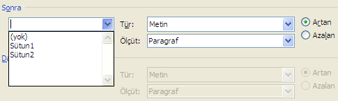 Tablo İçinde Sıralama Yapmak seçilen hücrenin türü, tür listesi kullanılarak seçilir.