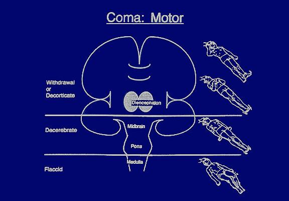 Komada Motor Sistem Muayenesi