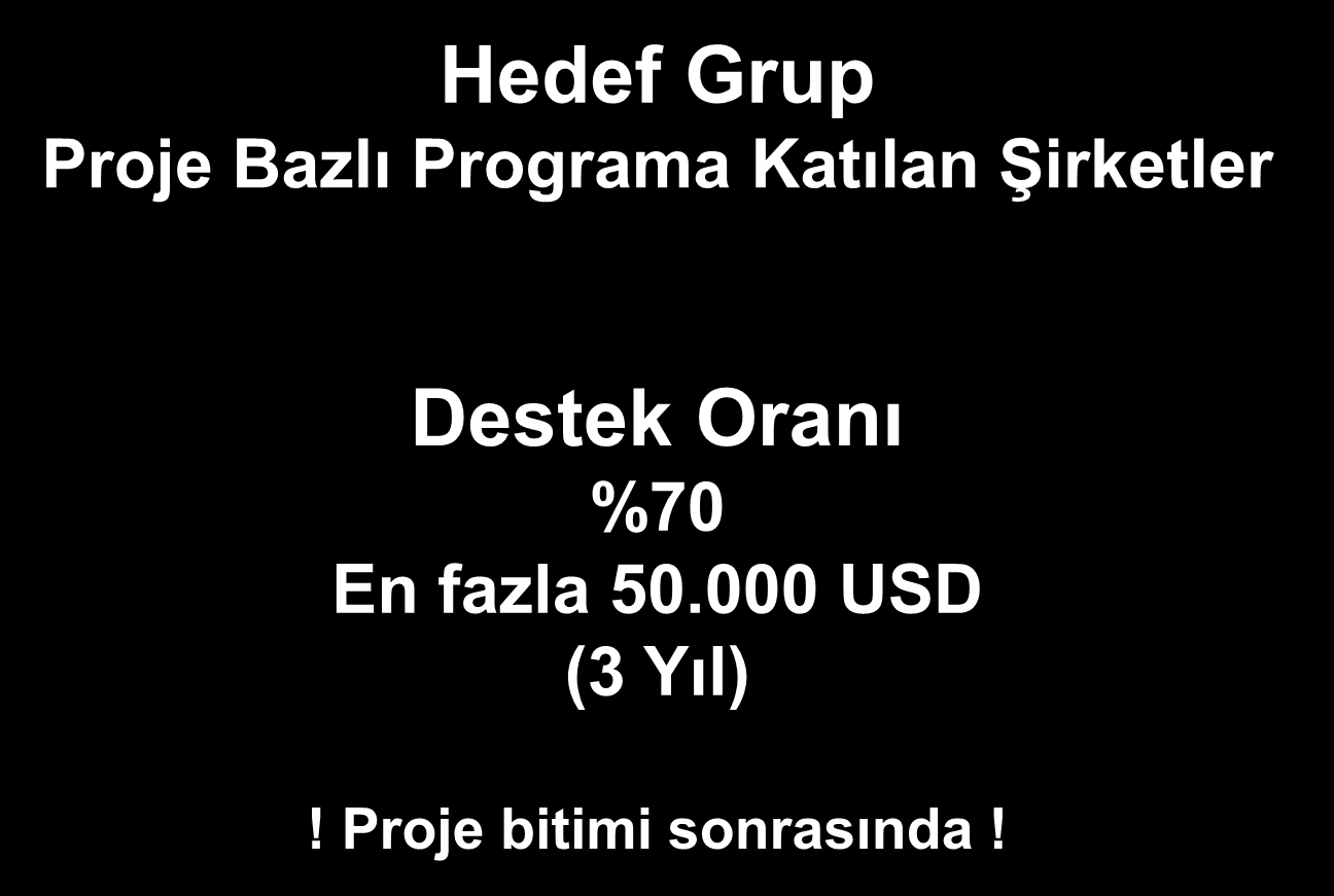 Hedef Grup Proje Bazlı Programa Katılan ġirketler Bireysel DanıĢmanlık