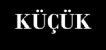 SAĞLIK KURUMLARINDA TESPİT EDİLEN RİSKLER VE RİSK DEĞERLENDİRMESİNE YÖNELİK