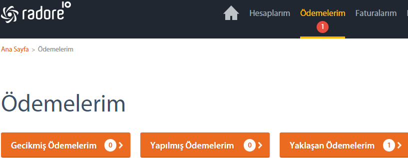 2.2 Ödemelerim Radore den satın alınmış olan hesaplara ait ödemeler bu kısımdan takip edilebilir. Ödemelerim ekranı üç farklı kısma ayrılarak ödeme işlemlerinin takibi kolaylaştırılmıştır.