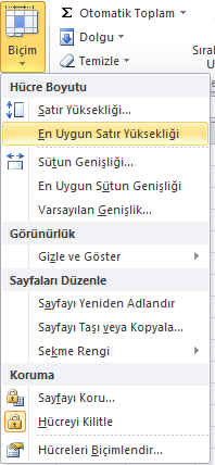 Şekil 48 Hücre Stilleri Hücreler grubu Giriş sekmesindeki Hücreler grubunda Ekle, Sil ve Biçim gibi menüler vardır. Ekle komutu ile Hücre, Satır, Sütun ve Sayfa eklenebilir.