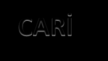 Stok raporları CARİ Cari Kartlar Cari Fişler