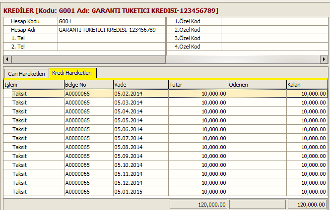 3-KREDİ KULLANILDI TOPLAM GERİ ÖDEME TUTARI ( KREDİ KULLANDIRAN KURUMUN TOPLAM ALACAĞI ) 120.