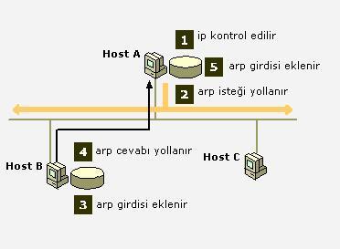 Alıcının fiziksel adresi bilinmediğinden tüm ağa yayın yapan (broadcast) bir paket yollanır ve isteğin bütün ağa ulaģması sağlanır.