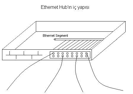 Resim 36: Yıldız Topolojide Hub a Giden Kabloların Gösterimi Ethernet için yeni fiziksel topoloji yıldız topolojidir. Kullanılan kablo da koaksiyelden UTP'ye dönüģmüģtür.