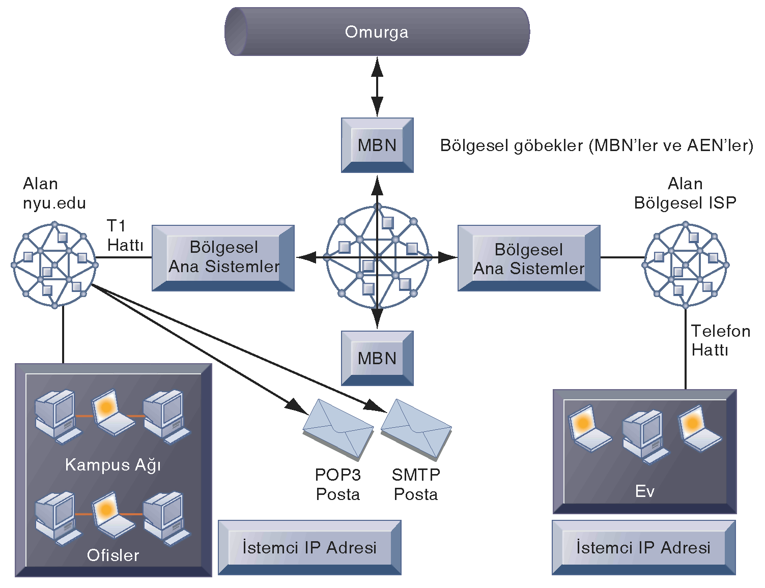 Küresel İnternet İNTERNET AĞ MİMARİSİ İnternet omurgası bölgesel ağlara bağlanır. Bölgesel ağlar da internet servis sağlayıcılara, büyük işletmelere ve kamu kurumlarına erişim sağlar.